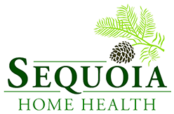 Sequoia Home Health logo with pine branch.